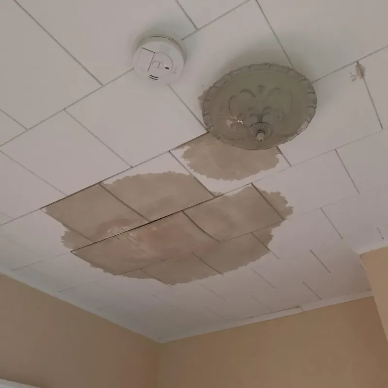 Ceiling Water Damage Repair in Ashe County, NC