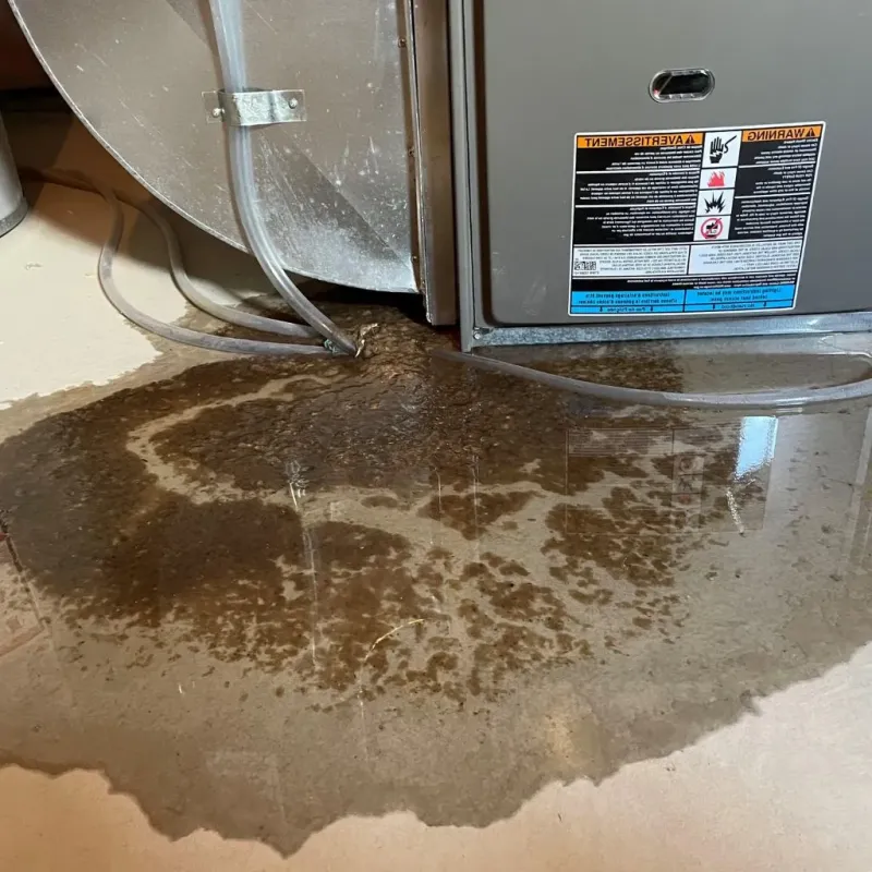 Pipe Burst and Leak Restoration in Ashe County, NC