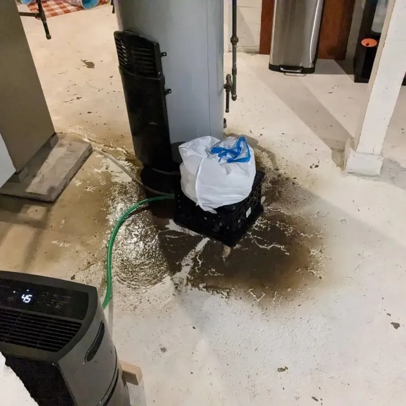 Sewage Backup Cleanup Service in Ashe County, NC